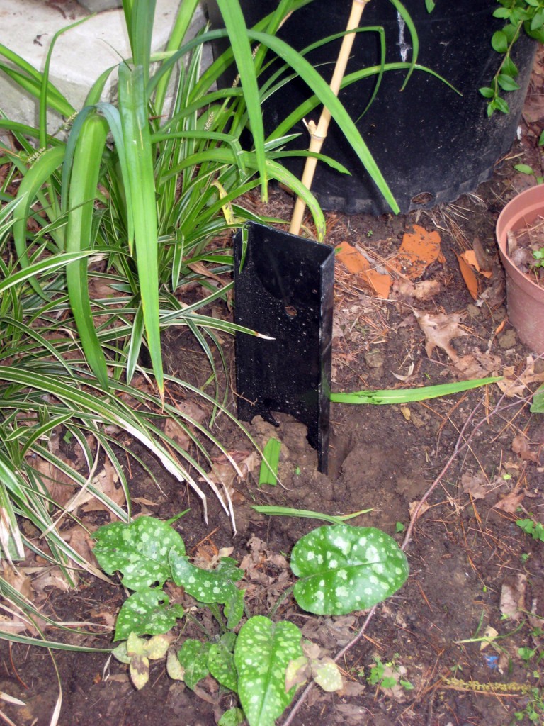 The Arbor Is Finished & How to Anchor an Arbor in Place Stately Kitsch