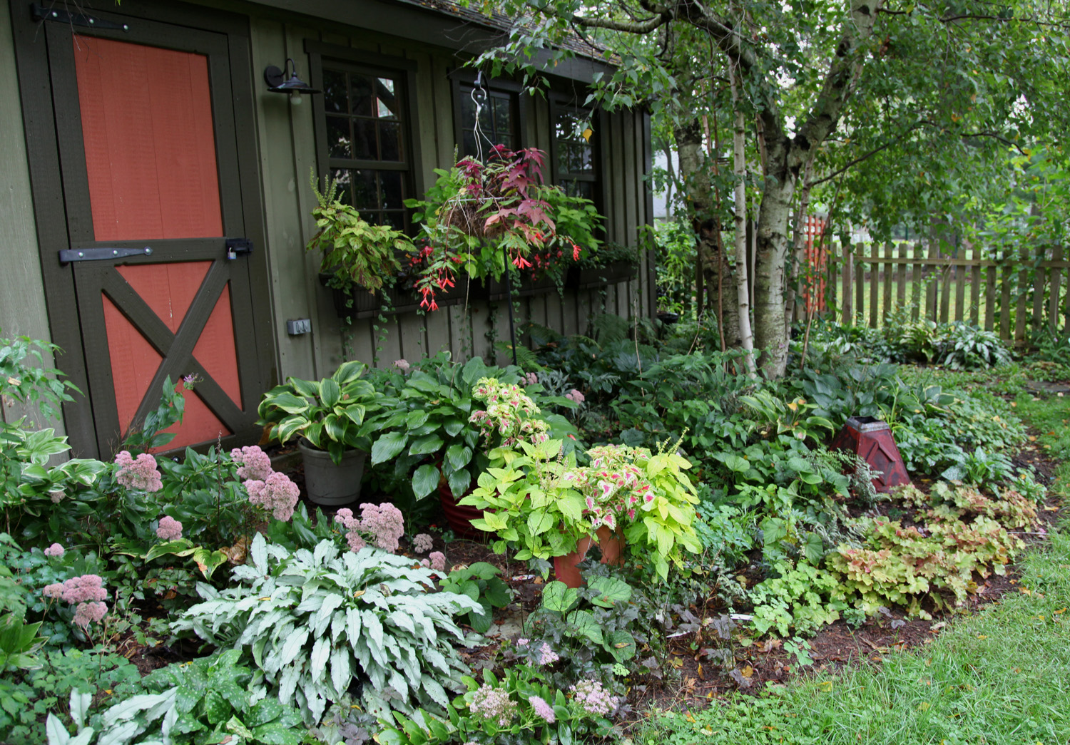 New Plants from the Scott Arboretum Plant Sale &amp; Carolyn’s Shade 