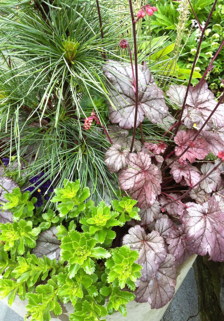 containergarden4-scottarboretum