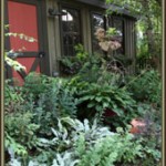 our-garden