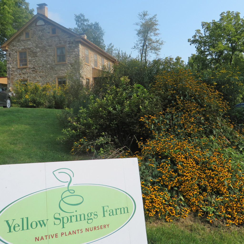 YellowSpringsFarm1